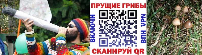 Псилоцибиновые грибы Magic Shrooms  Бахчисарай 